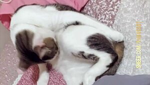 Hey, check this horny Latina with a natural culo, wanna see more?