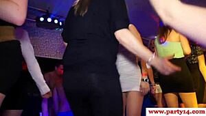 Sexy Euro Amateurs Sucking in Stunning High Def.