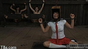 Naughty Beauty Faces Lusty Facial Punishment