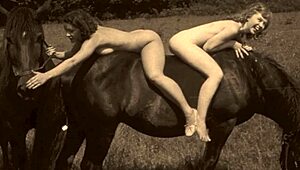 Vintage taboo scene with hairy pussy and outdoor doggystyle action in retro style