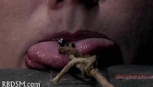 sadomasochism whipping tube explores intense sessions with raw power dynamics.