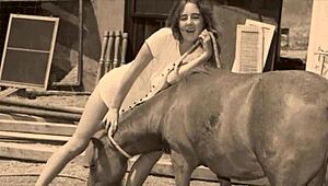 Dark Lantern Entertainment oživuje retro vibrace