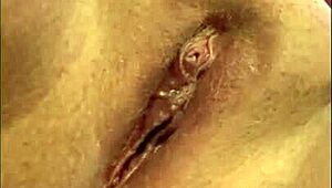 Waifu yukionna gives wet blowjob close up.