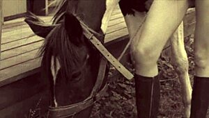 Dark Lantern Entertainment unveils retro hairy classics