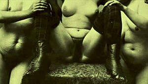 Pornostalgia Vintage Maid Blowjob with Hairy Antique