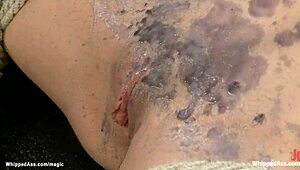 Bound Lesbians Waxed Hard and Whipped in Hot Session