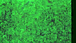 Is That Slut Wife Terrah Taking on a Big White Dick? Watch Her Moan!