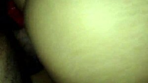 Brazilian Culture and Traditions in South America