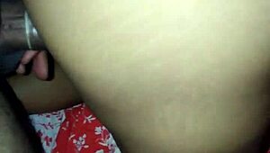 Brazilian Culture and Traditions in South America