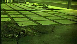 i got this extreme cumshot compilation hd unless youre from the sixties and dig it