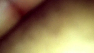 butterfly spreading its wings wide