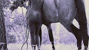 Feeling the Raw Heat of Beauty and the Beast by Dark Lantern