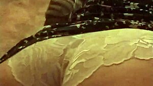 My Wife Fat Ass In Panties Thick