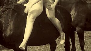 Dark Lantern Entertainment Unleashes Raw Beauty and Beast Action