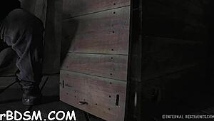 does this muzzled brunette babe need hardcore taming?