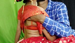 Sexy Indian bhabi in red saree gets rough sex. Moaning loud in Hindi close-up.