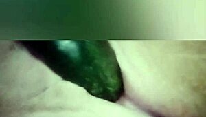 vegana explores with cucumber