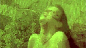 vintage pornography challenge 1860s vs 1960s