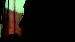 Watch the couple in shadows giving blowjob