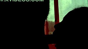 Watch the couple in shadows giving blowjob