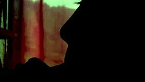 Watch the couple in shadows giving blowjob