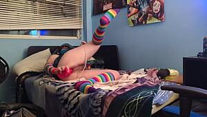 Puppy practices playing with his bad dragon toy