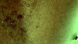 i cummed in the club bathroom after dancing 😅