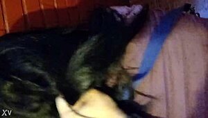 Fuck That Peruvian Prostitute Hard!