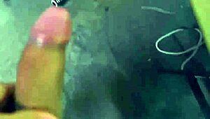 Hot Evelin Stone couldn’t resist teasing her stepbro for some wild cock action in the bedroom.