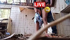 eu amo deixar meu primo mandar em tudo na mansão