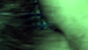 Vietnamese bot Zam delivers unexpected gay action