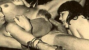 复古双性恋女同性恋疯狂玩毛茸茸的乐子！