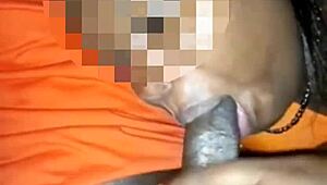 i sucked his cock while he drove in the caribbean