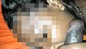 i sucked his cock while he drove in the caribbean