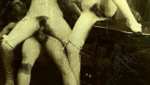 Ever seen two centuries of vintage porn action?