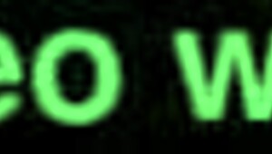 horny bitch getting slammed doggy style