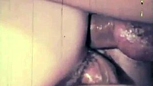 Тъмна лампа винтидж тройка с двойно проникване от тайните ми животни изповеди. Мамка му, тази космата акция!