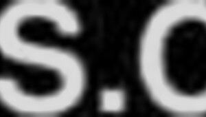 horny bitch getting slammed doggy style