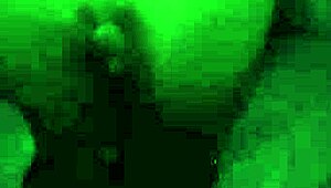 mexican latina watches ufc and gets so horny she masturbates