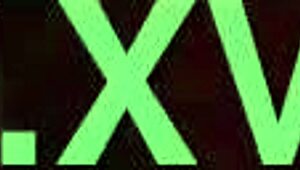 we had fun with the postal guy today