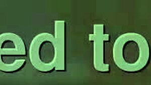 we had fun with the postal guy today