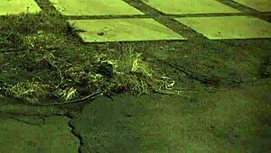 teen pantie grinding unless youre from the sixties and delve that