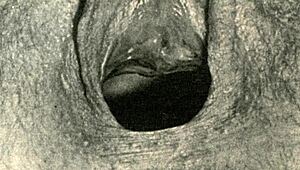 Closeup Vintage Memukau dari Kehidupan Erotis Rahasia!