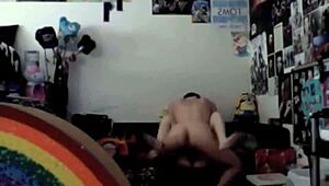 complete gameplay of hs tutor part 8