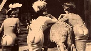 Dark Lantern Entertainment Unveils Retro Beauty Bent Over in Hairy Doggy Action