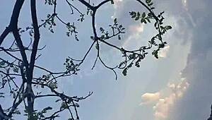 i'm showin my shaved pussy to guys in the park