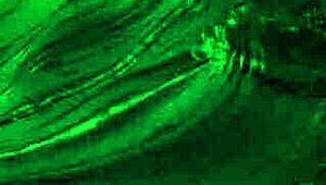 Tatsuro Yamashita - The Theme From Big Wave Sub Español Lyrics