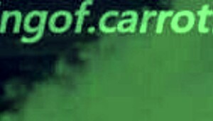 Tatsuro Yamashita - The Theme From Big Wave Sub Español Lyrics