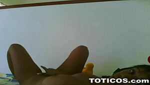 sugely from dominican republic does a solo webcam show, teasing her caribbean curves