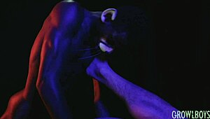 yo, check growlboys with bbc werecat barebacking a muscle hunk’s ass